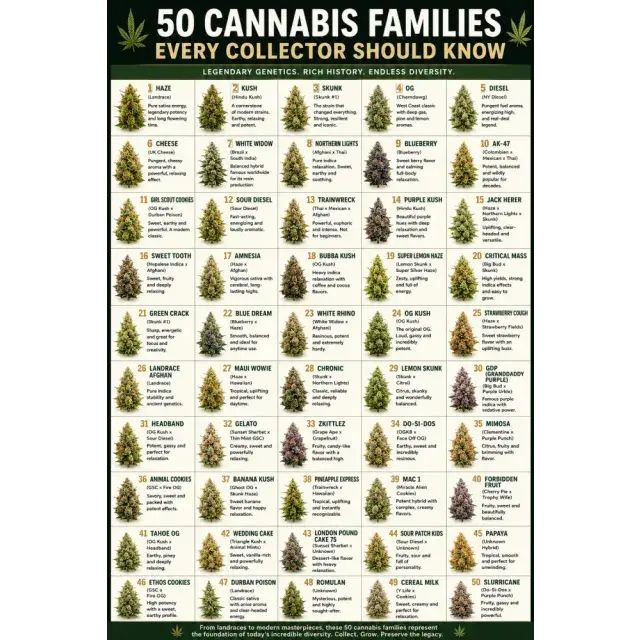 Cannabis Seeds: 50 Cannabis Families Every Collector Should Know.