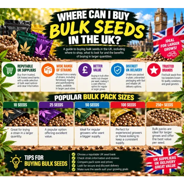 Cannabis Seeds: Where Can I Buy Bulk Cannabis Seeds in the UK?
