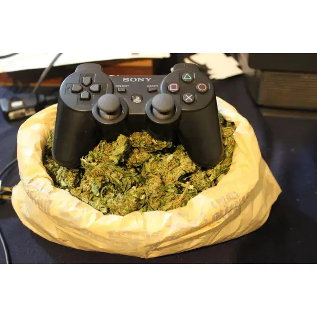 Cannabis Seeds - The Best Strains For Gaming.
