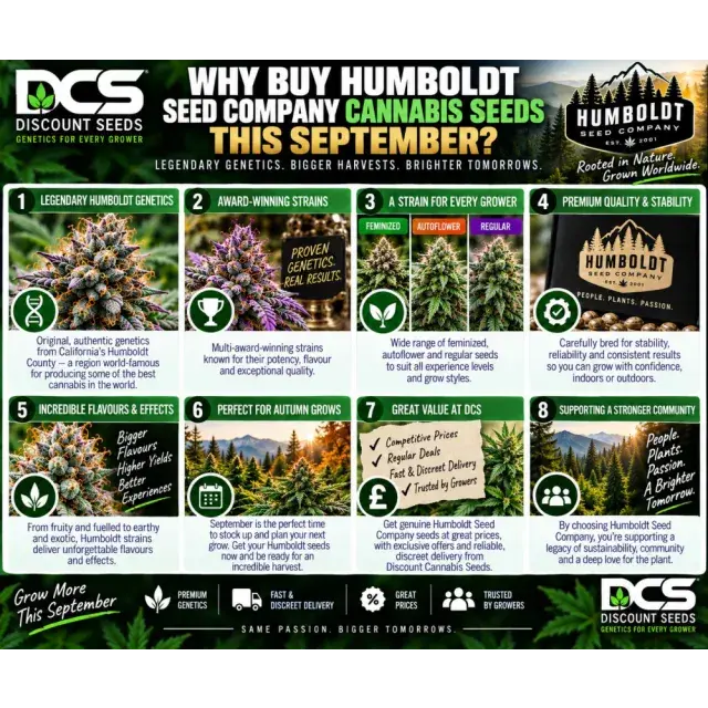 Why Buy Humboldt Seed Company Cannabis Seeds This September?