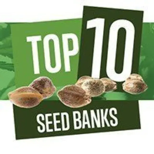 UK Cannabis Seeds Banks: A Beginner's Guide to Buying Seeds Online.