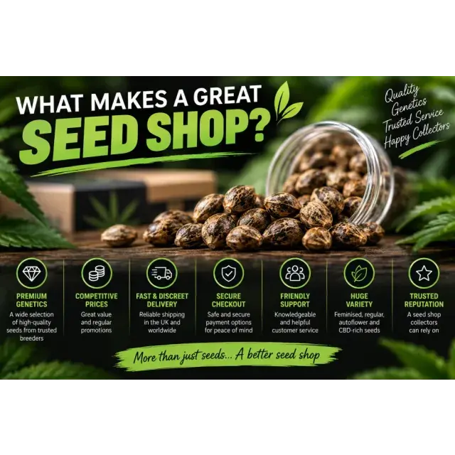 Cannabis Seeds: What Makes a Great Cannabis Seeds Shop?