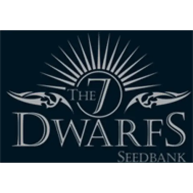 7 Dwarfs Feminised Cannabis Seeds | Discount Cannabis Seeds