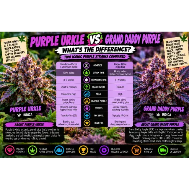 Cannabis Seeds: Purple Urkle vs Granddaddy Purple: What's the Difference Between These Cannabis Strains?