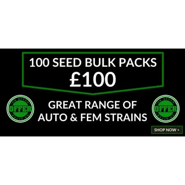 Discover Why Our 100 Seeds for £100 Deal Is a Game-Changer at Discount Cannabis Seeds.