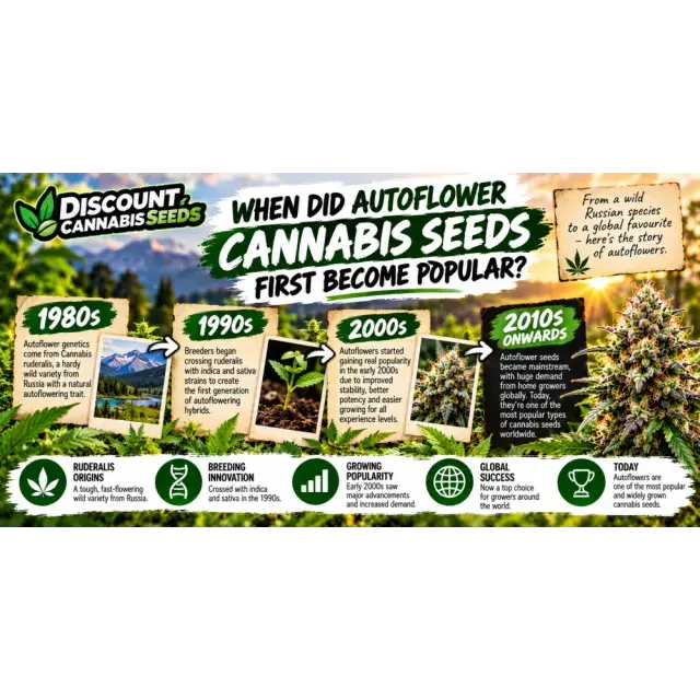 Cannabis Seeds: When Did Autoflower Cannabis Seeds First Become Popular?