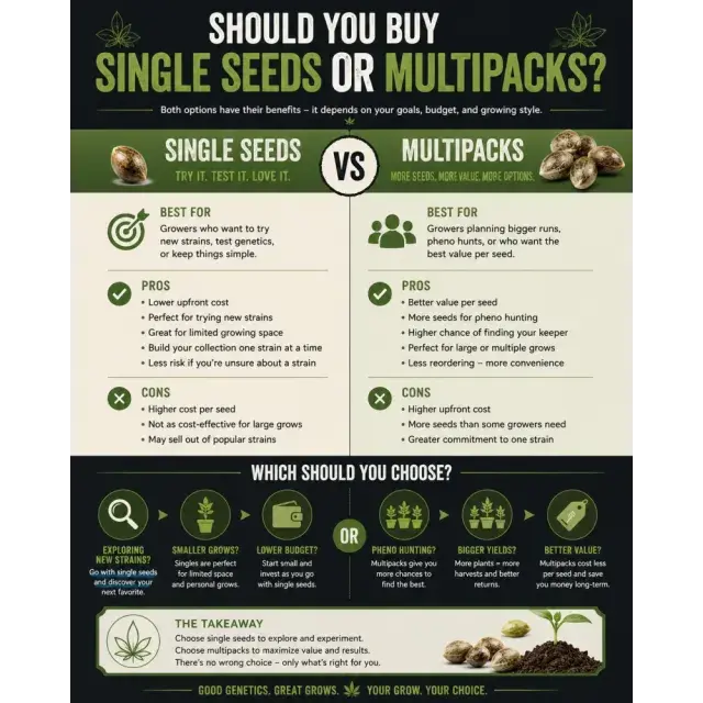 Cannabis Seeds: Should You Buy Single Cannabis Seeds or Multipacks?