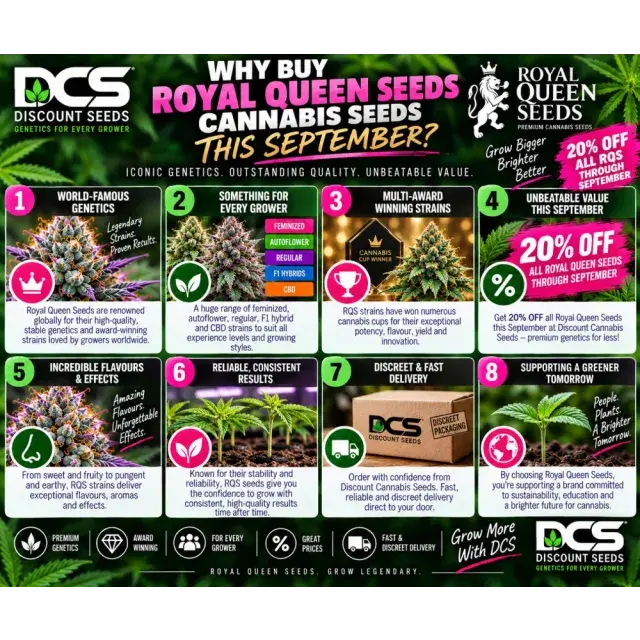 Why Buy Royal Queen Seeds Cannabis Seeds This September?