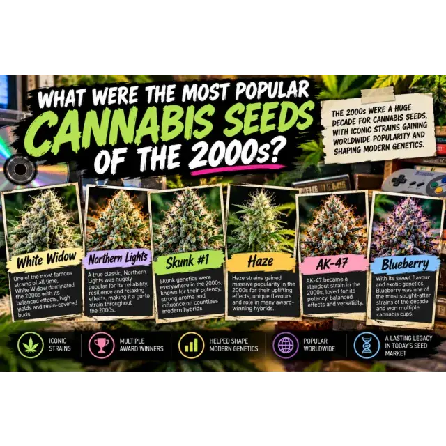 Cannabis Seeds: What Were the Most Popular Cannabis Seeds of the 2000s?