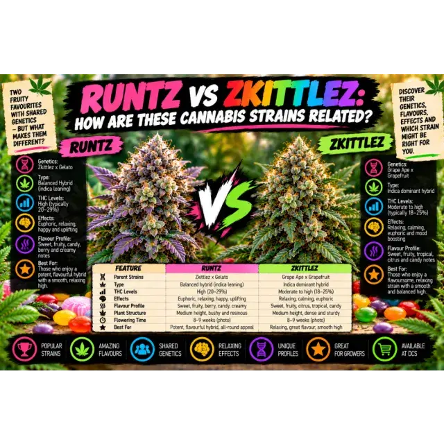 Cannabis Seeds: Runtz vs Zkittlez: How Are These Cannabis Strains Related?