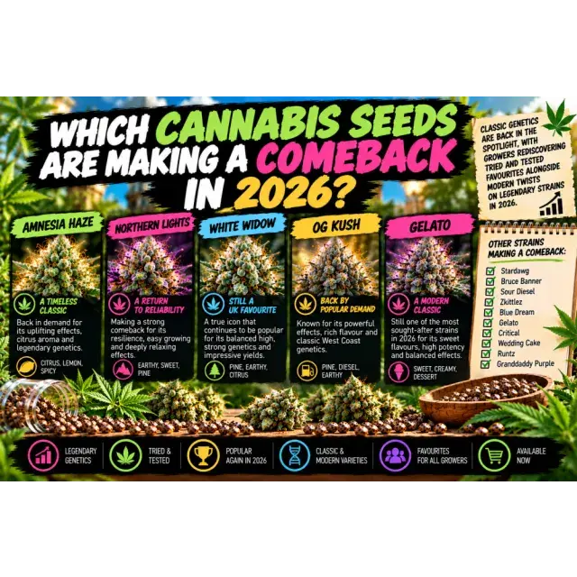 Cannabis Seeds: Which Cannabis Seeds Are Making a Comeback in 2026?