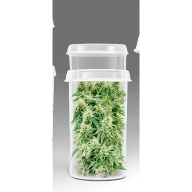 Understanding the Shelf Life of Cannabis Seeds: Do They Go Bad? Insights from Discount Cannabis Seeds.