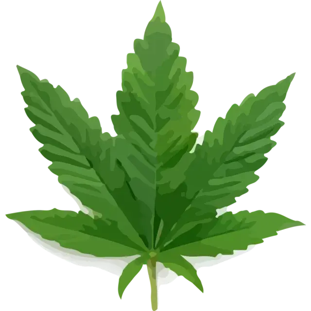 Medicinal Cannabis Seeds: Top Strains for Pain, Sleep, and Anxiety Relief.