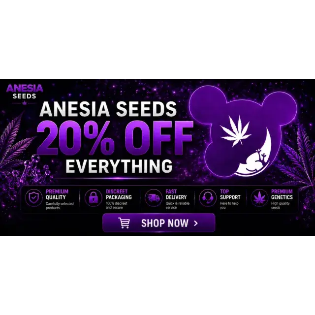 Cannabis Seeds: Why Buy Anesia Cannabis Seeds This September?