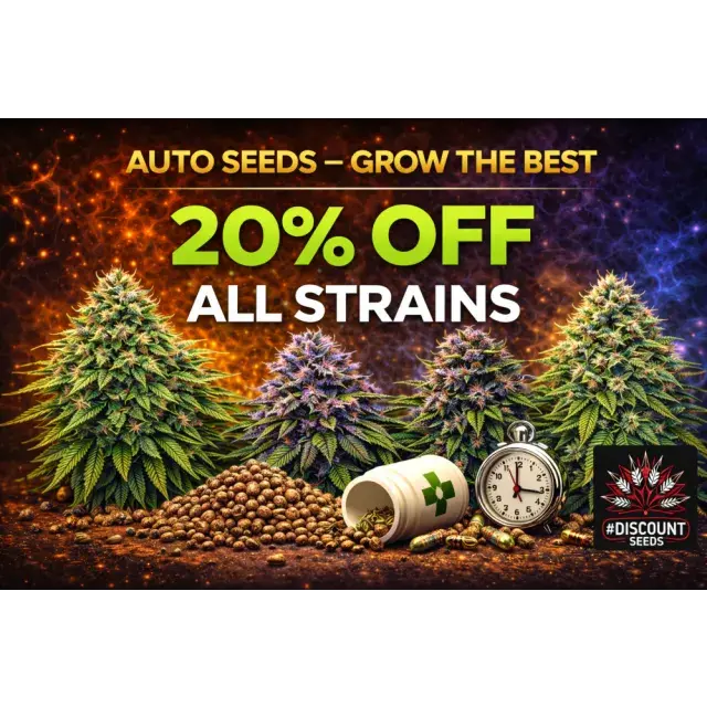 Cannabis Seeds: Top 10 Cheapest Auto Seeds (Budget Picks 2026).