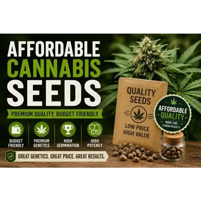 Affordable Cannabis Seeds That Still Produce High THC.