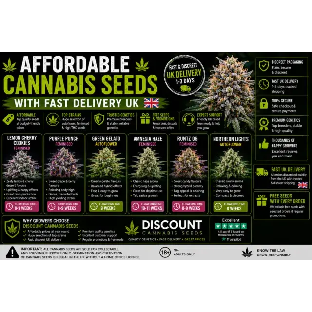 Cannabis Seeds: Affordable Cannabis Seeds With Fast Delivery UK.