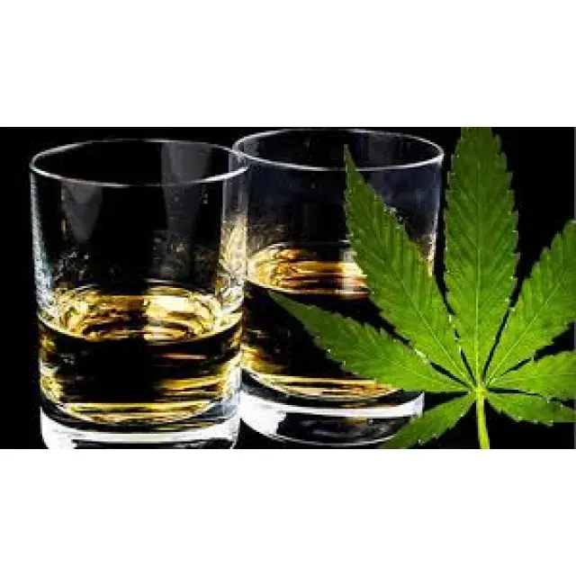 Cannabis Seeds - Alcohol v Cannabis - Discount Cannabis Seeds.