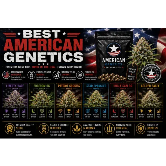 Cannabis Seeds: American Cannabis Genetics: Iconic USA-Bred Strains