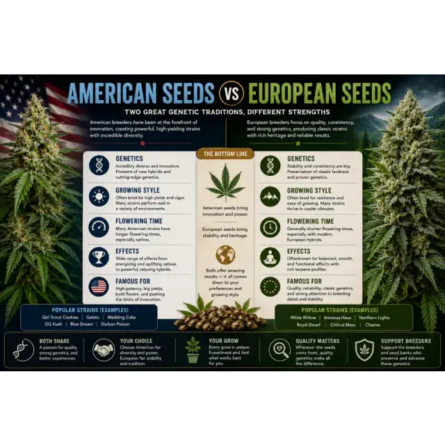 Cannabis Seeds: American Cannabis Seeds vs European Cannabis Seeds