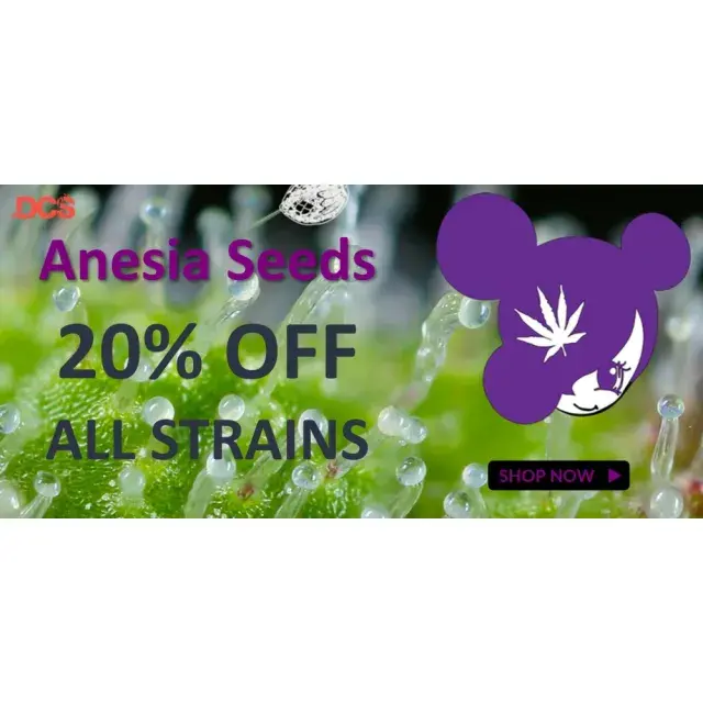 Discover 20% Off Anesia Seeds Promotions at Discount Cannabis Seeds.