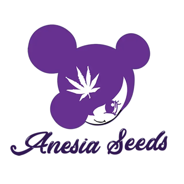 Anesia Seeds - Discount Cannabis Seeds