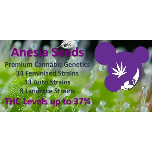 Cannabis Seeds - Anesia Seeds - Discount Cannabis Seeds.