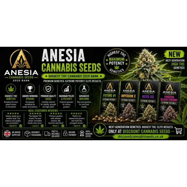 Anesia Cannabis Seeds UK (Highest THC Seed Bank Review 2026).