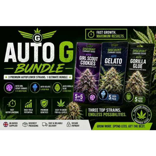Auto G Bundle Cannabis Seeds (Girl Scout Cookies, Gelato, Gorilla Glue Auto.