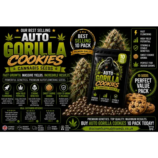Auto Gorilla Cookies Cannabis Seeds  (Best Selling 10 Pack 2026).