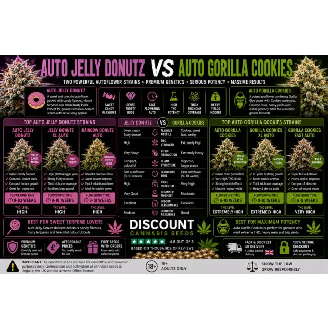 Cannabis Seeds: Auto Jelly Donutz VS Auto Gorilla Cookies.