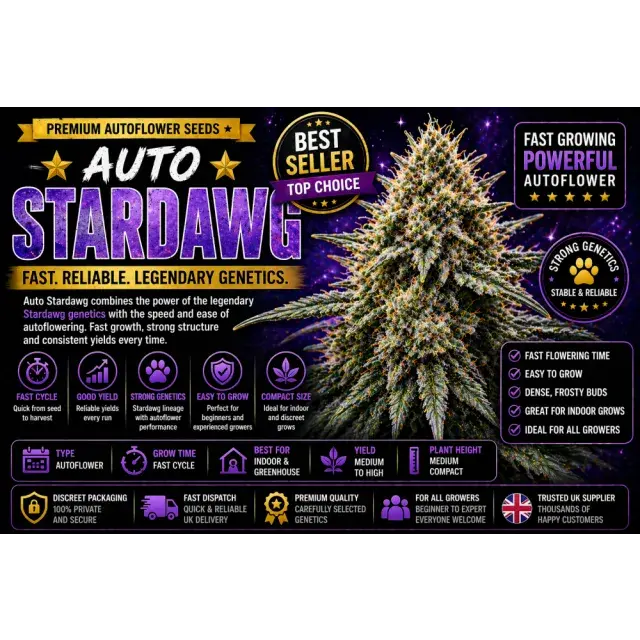 Auto Stardawg Cannabis Seeds UK (Fast Auto flower Guide 2026).