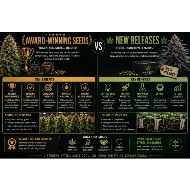 Cannabis Seeds: Award-Winning Cannabis Seeds vs New Releases.