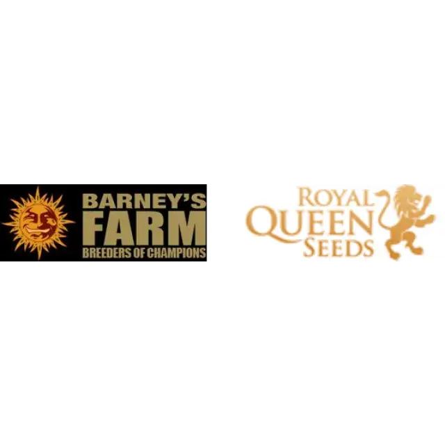 Cannabis Seeds - Barney's Farm VS Royal Queen Seeds.