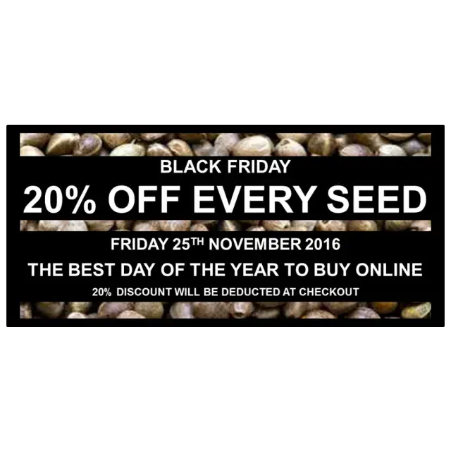 What to Expect from Discount Cannabis Seeds on Black Friday.