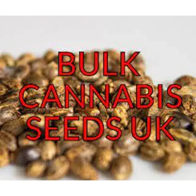 When to Switch From Small Packs to Bulk Cannabis Seeds.