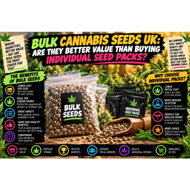 Cannabis Seeds: Bulk Cannabis Seeds UK: Are They Better Value Than Buying Individual Seed Packs?