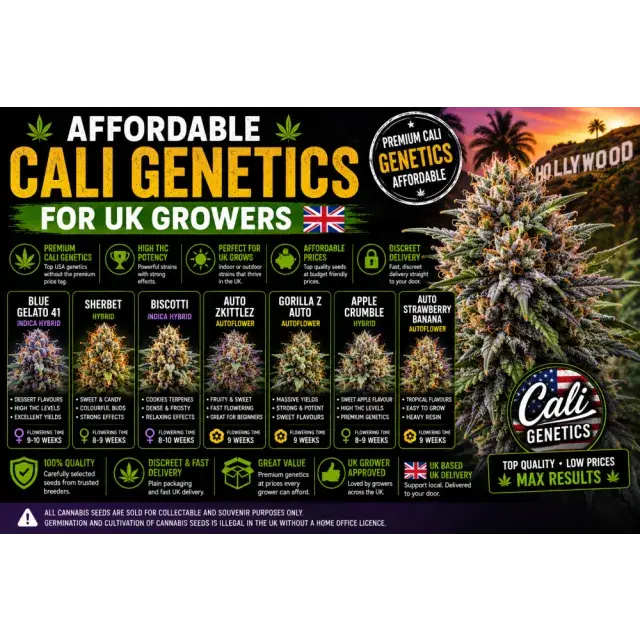 Cannabis Seeds: The Best Affordable Cali Genetics for UK Growers.