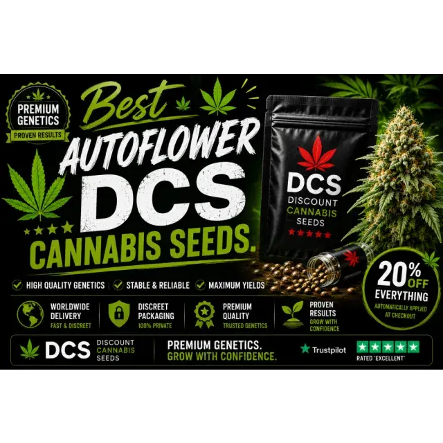 Cannabis Seeds: The Best Auto flower DCS Cannabis Seeds.