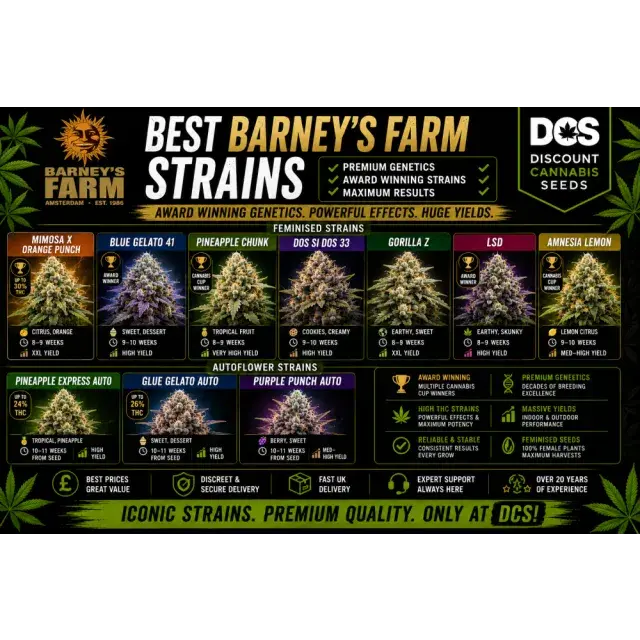 Cannabis Seeds: The Best Barneys Farm Strains.
