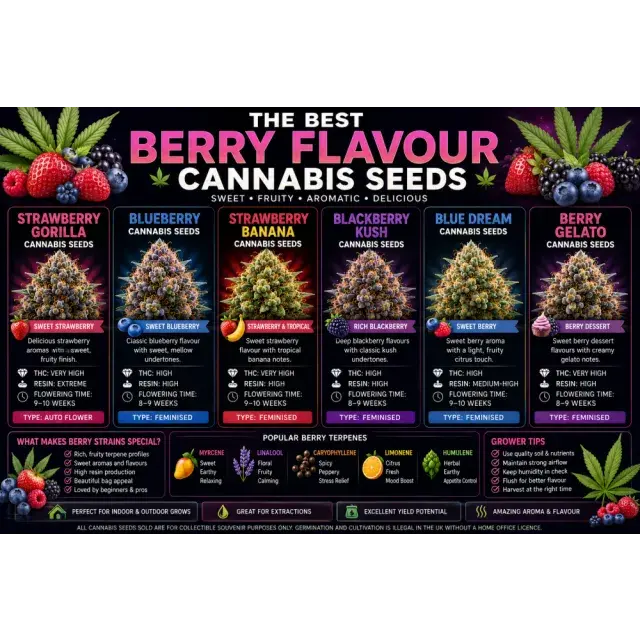Cannabis Seeds: The Best Berry Flavour Cannabis Seeds.
