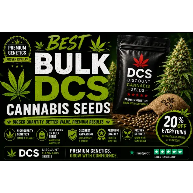 Cannabis Seeds: The Best Bulk DCS Cannabis Seeds.