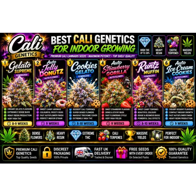 Cannabis Seeds: The Best Cali Genetics for Indoor Growing.