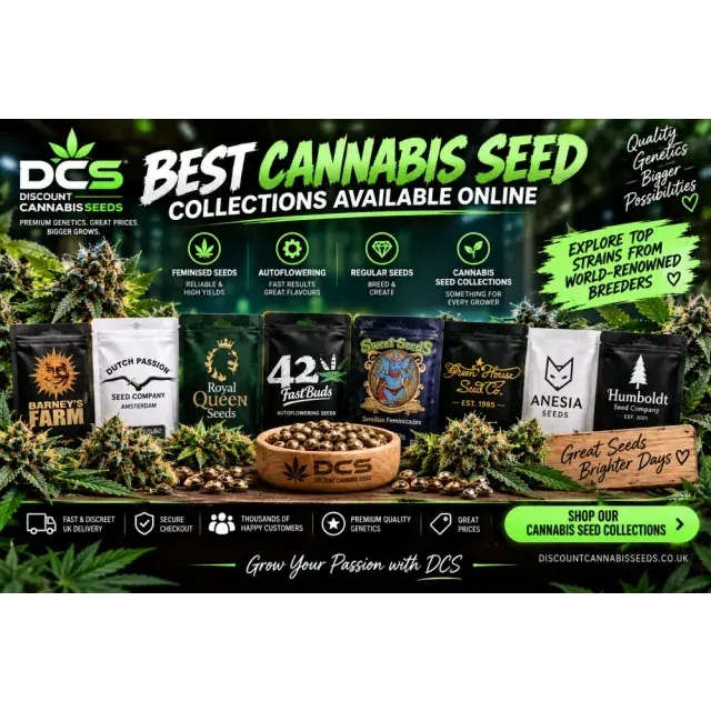 Cannabis Seeds: Best Cannabis Seeds Collections Available Online.
