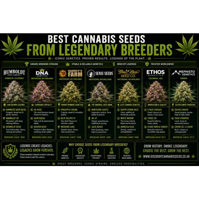 Cannabis Seeds: The Best Strains From Legendary Breeders.