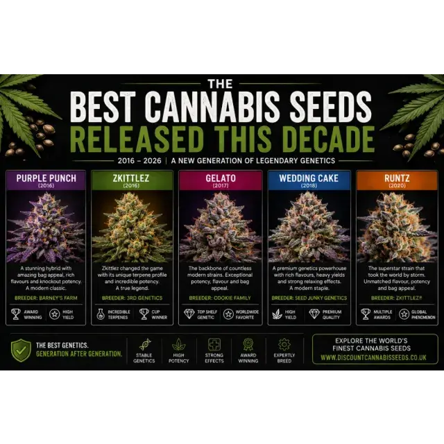  Cannabis Seeds: The Best Cannabis Seeds Released This Decade.