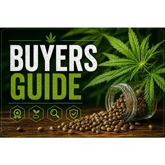 Best Cannabis Seeds UK (Ultimate Buyer’s Guide 2026).