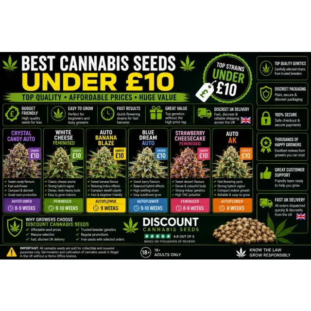 Cannabis Seeds: The Best Cannabis Seeds Under £10.