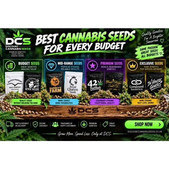 Cannabis Seeds: The Best Cannabis Seeds for Every Budget.