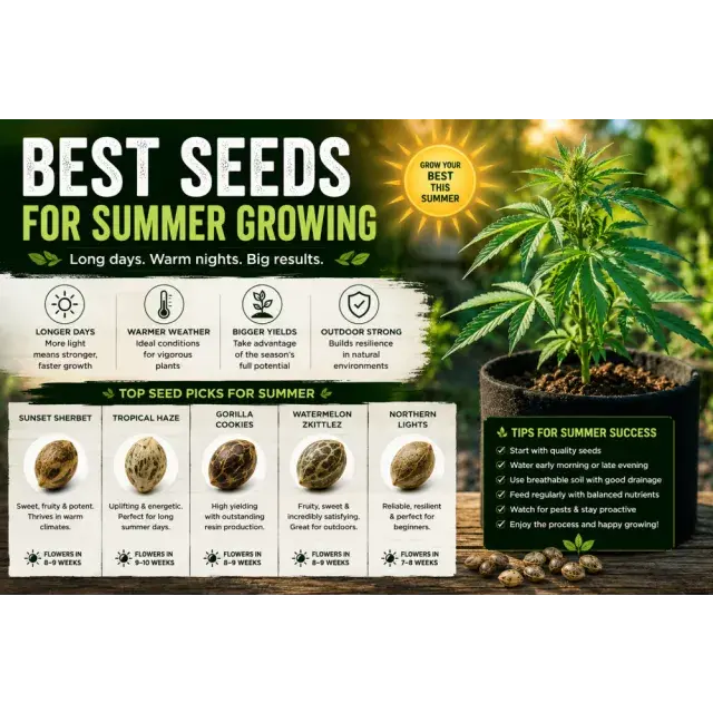 Cannabis Seeds for Summer Growing: Top Strains for Warm Weather.